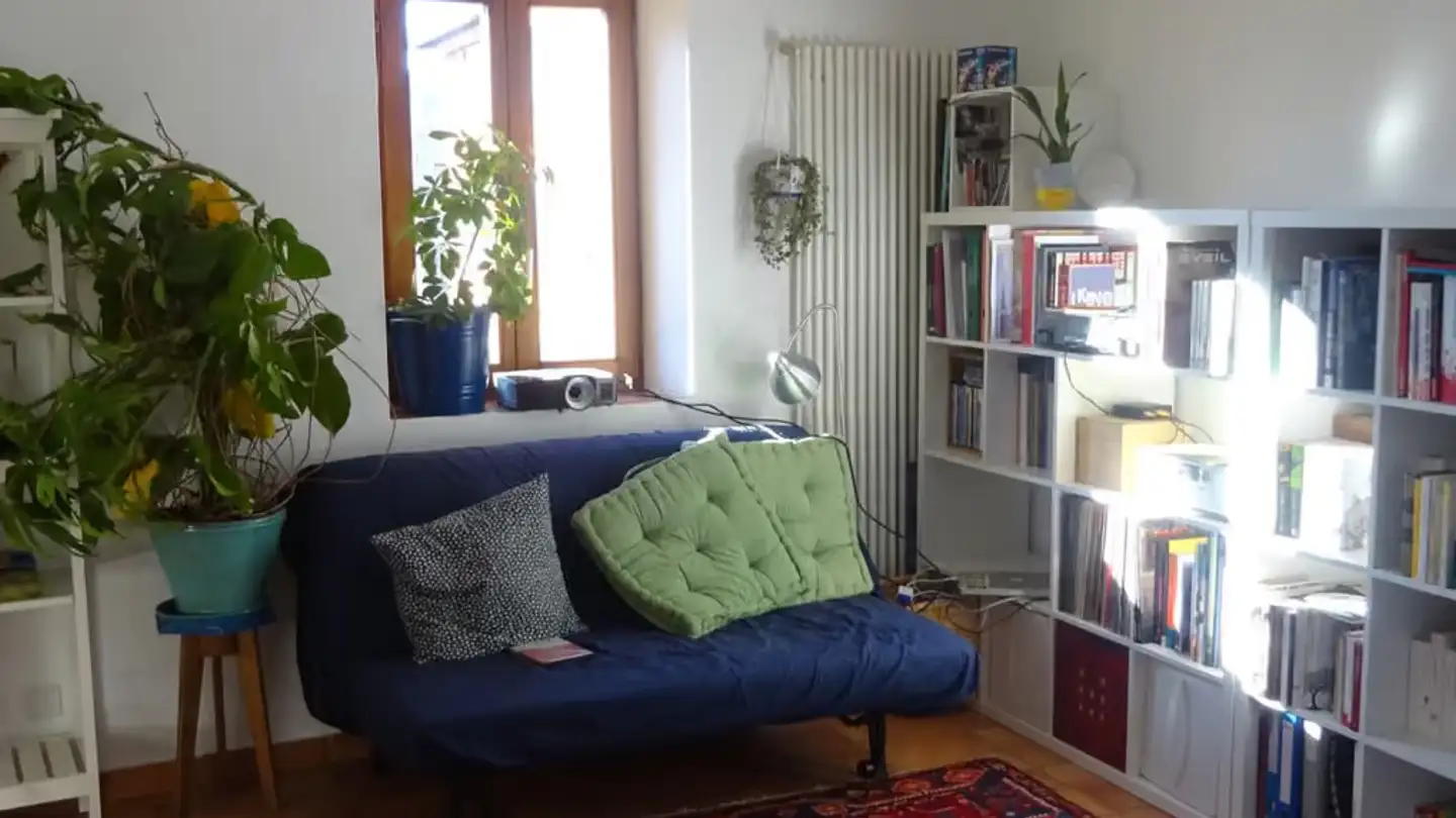 Wohnung mieten - 6955 Cagiallo