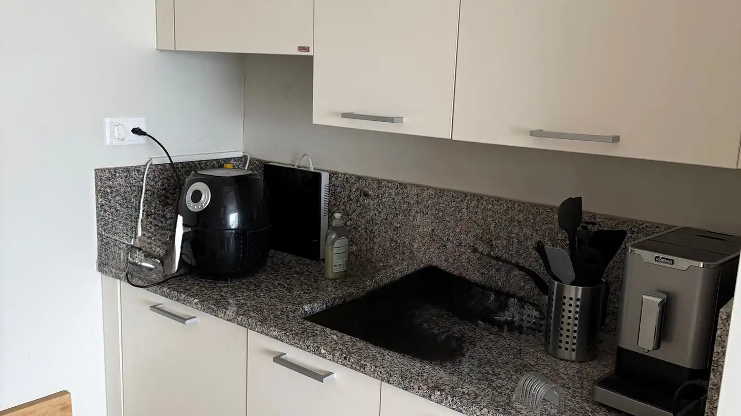 Apartment for rent - 1023 Crissier - Photo 4