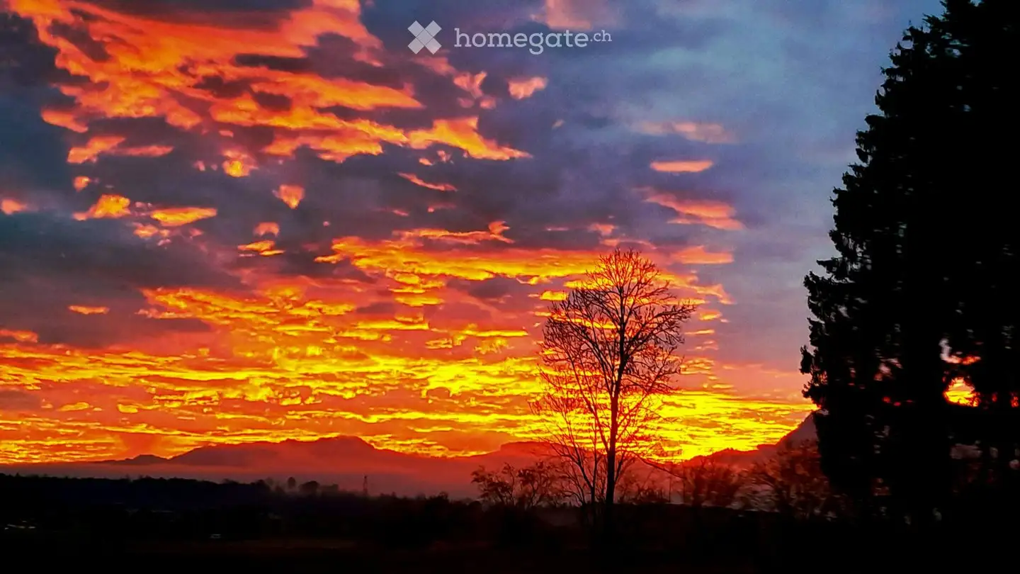 Stanza singola in affitto - Belletz, 6274 Eschenbach LU