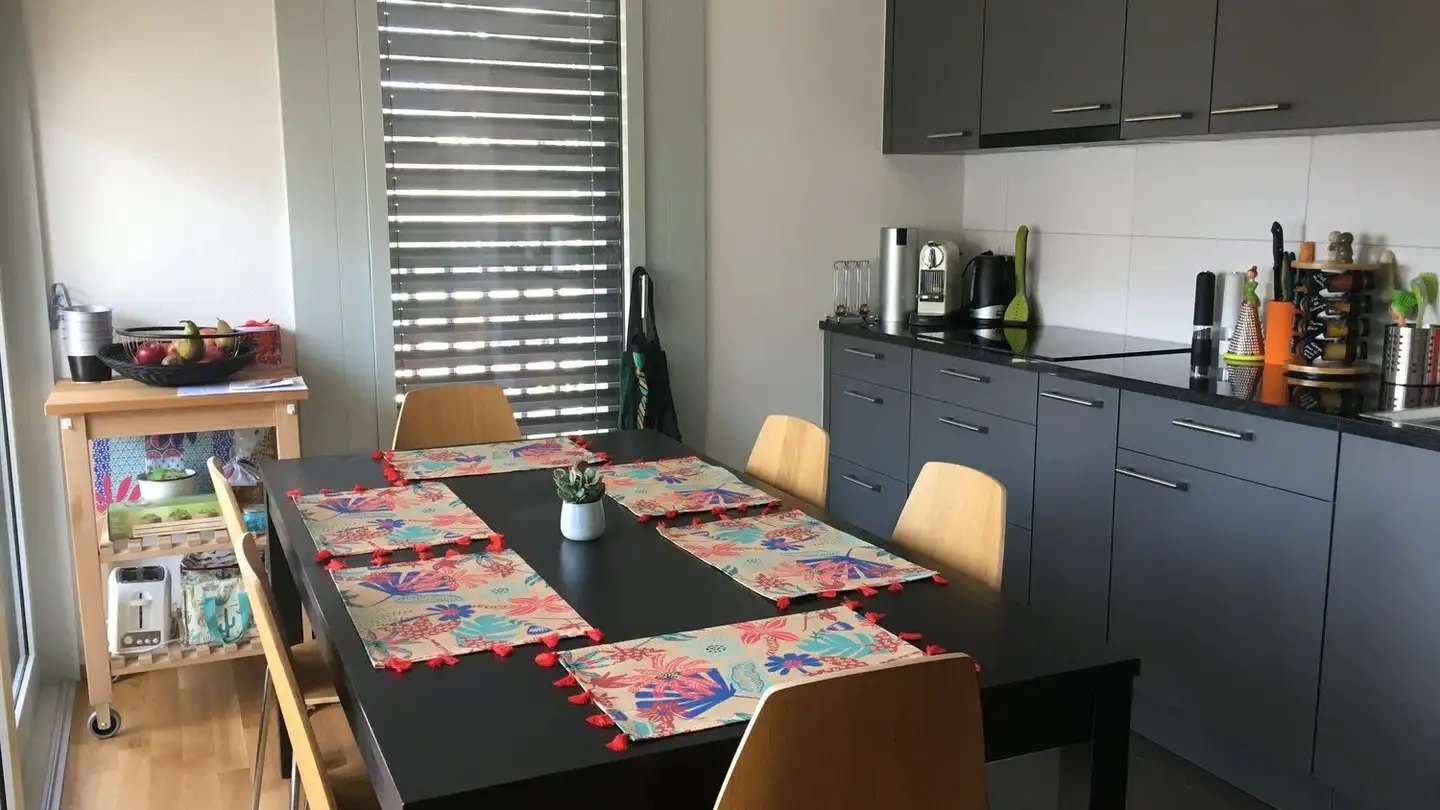 Appartamento in affitto - Promenade De Castellane 13, 1110 Morges - Foto 4