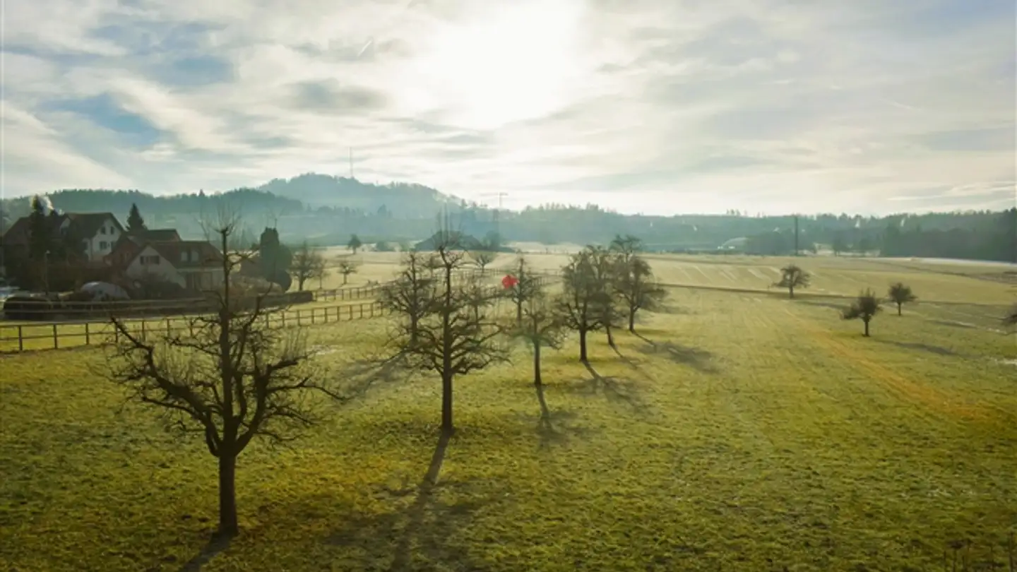 Appartamento in vendita - Zürcherstrasse 87, 8142 Uitikon Waldegg - Foto 2