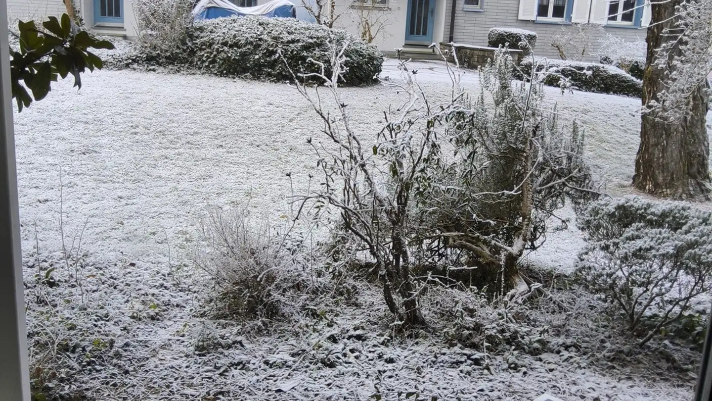 Single room for rent - 8952 Schlieren - Photo 3