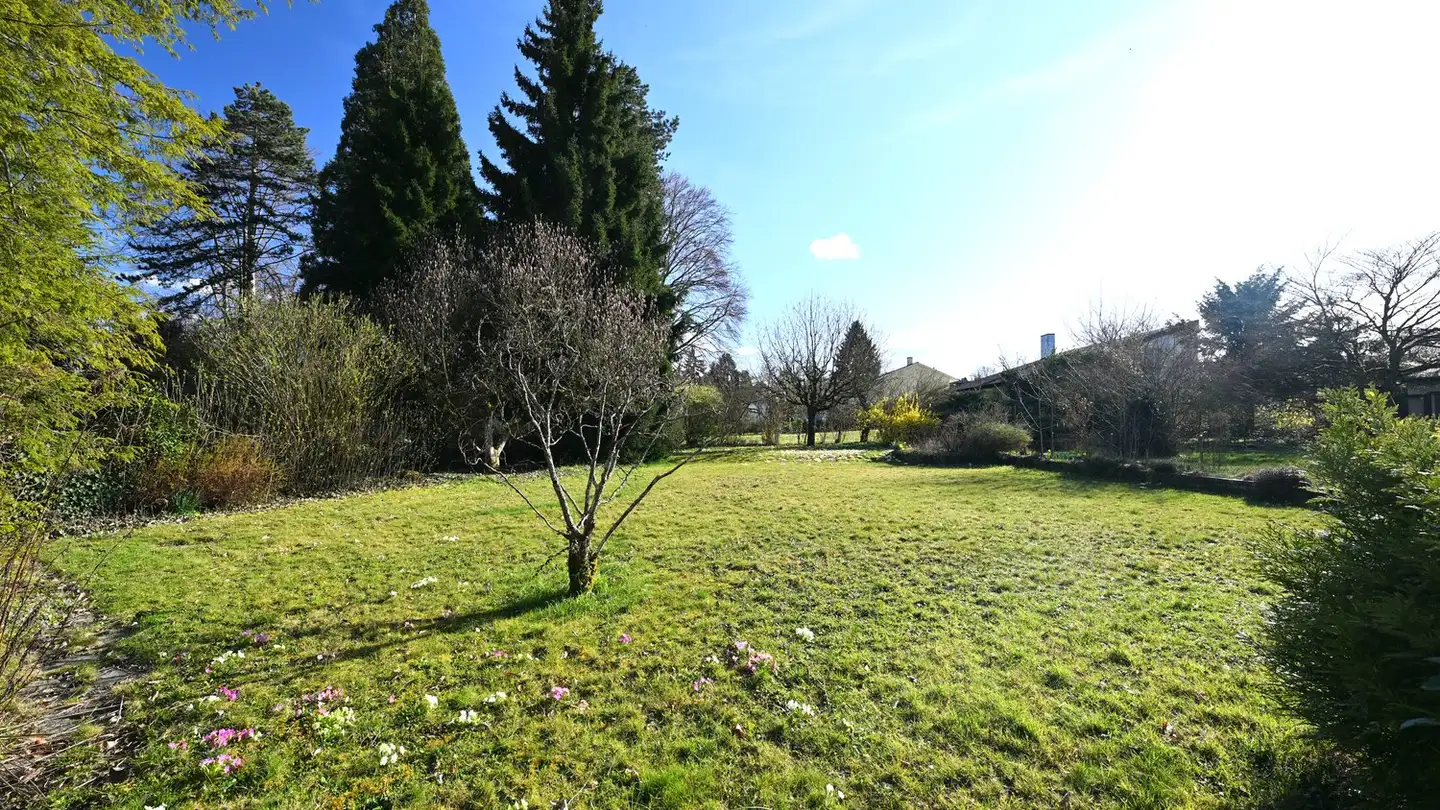 Single house for sale - Sommerhalde 9, 4102 Binningen - Photo 4