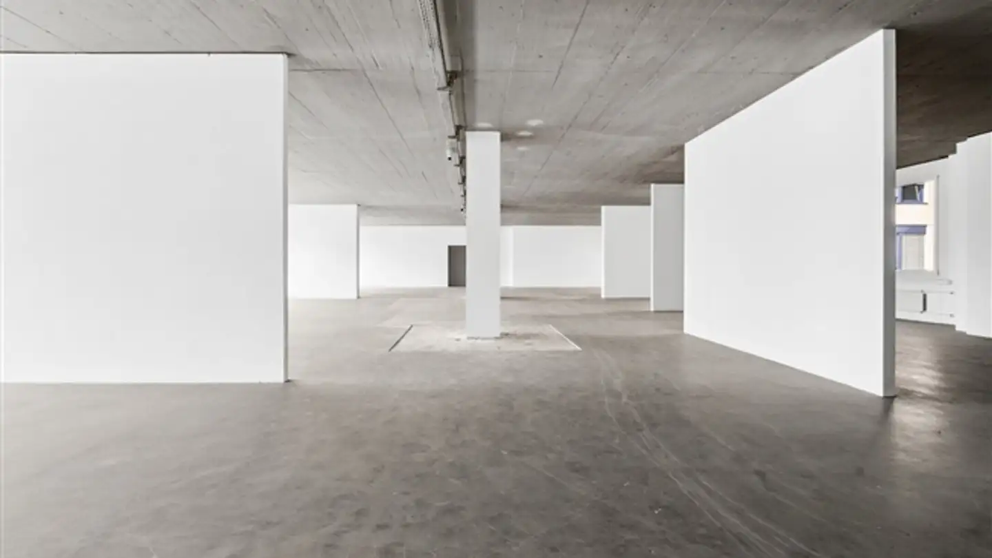 Wohnung mieten - Riedstrasse 14, 8953 Dietikon - Foto 3