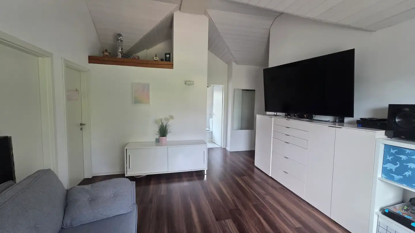 Appartamento in affitto - Walderstrasse, 8630 Rüti ZH