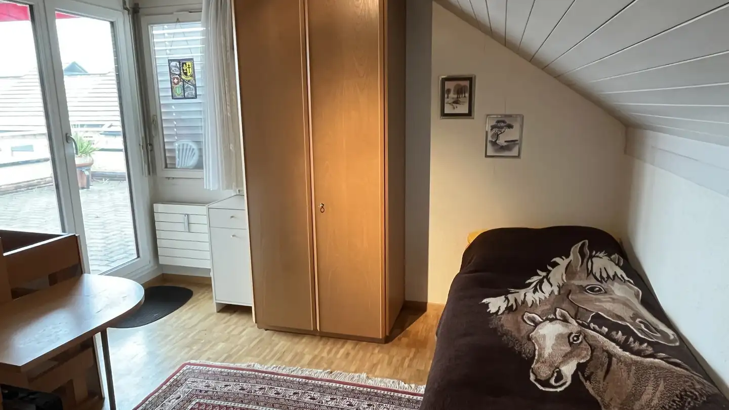 Appartement à vendre - Weierhofgasse 9, 9500 Wil SG