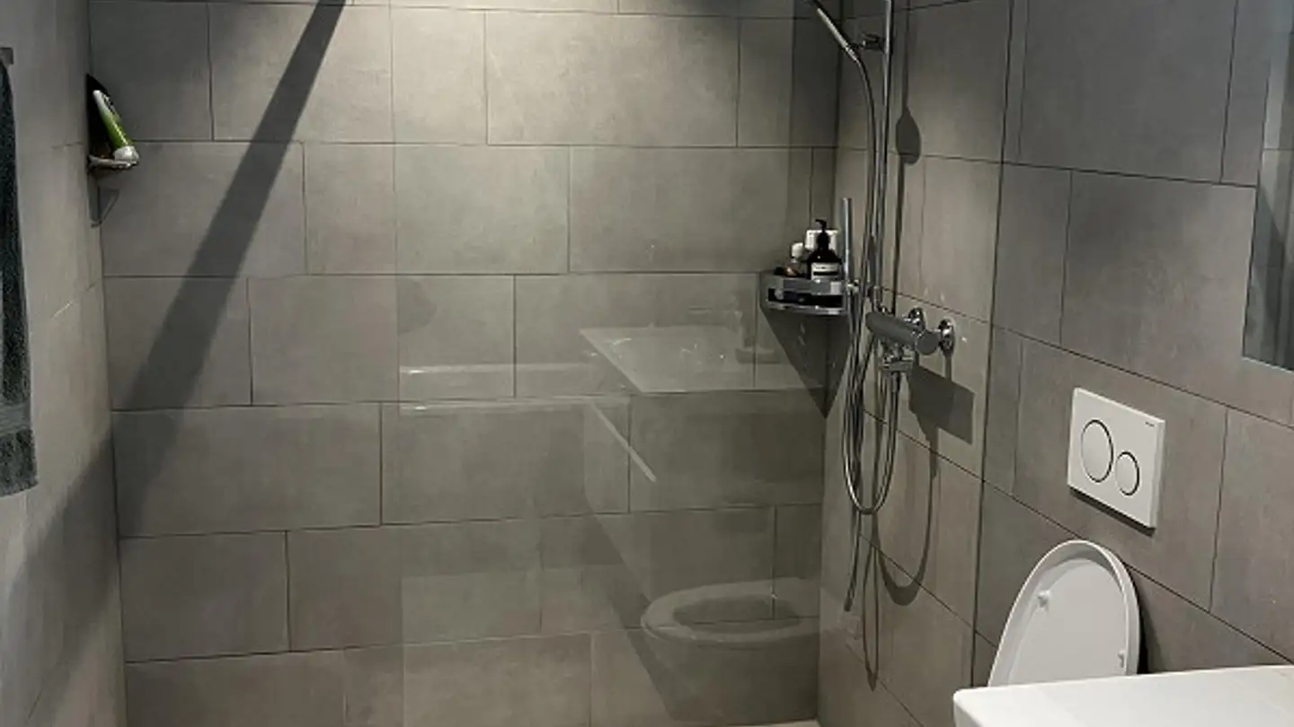 Apartment for rent - Vorderbergstrasse 32, 6318 Walchwil - Photo 4