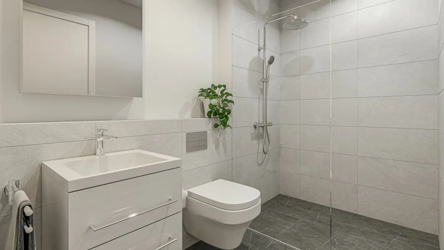 Commercial for sale - 5623 Boswil - Photo 3