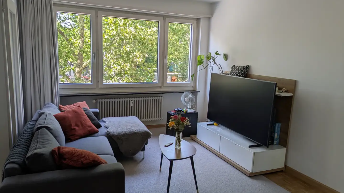 Wohnung mieten - Im Margarethental, 4054 Basel