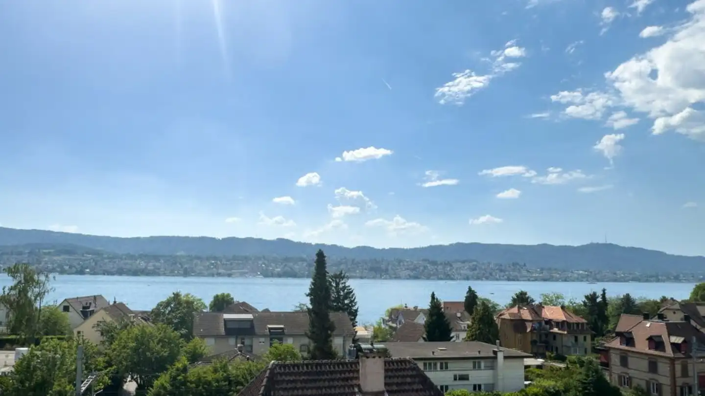 Maison individuelle à vendre - 8700 Küsnacht ZH