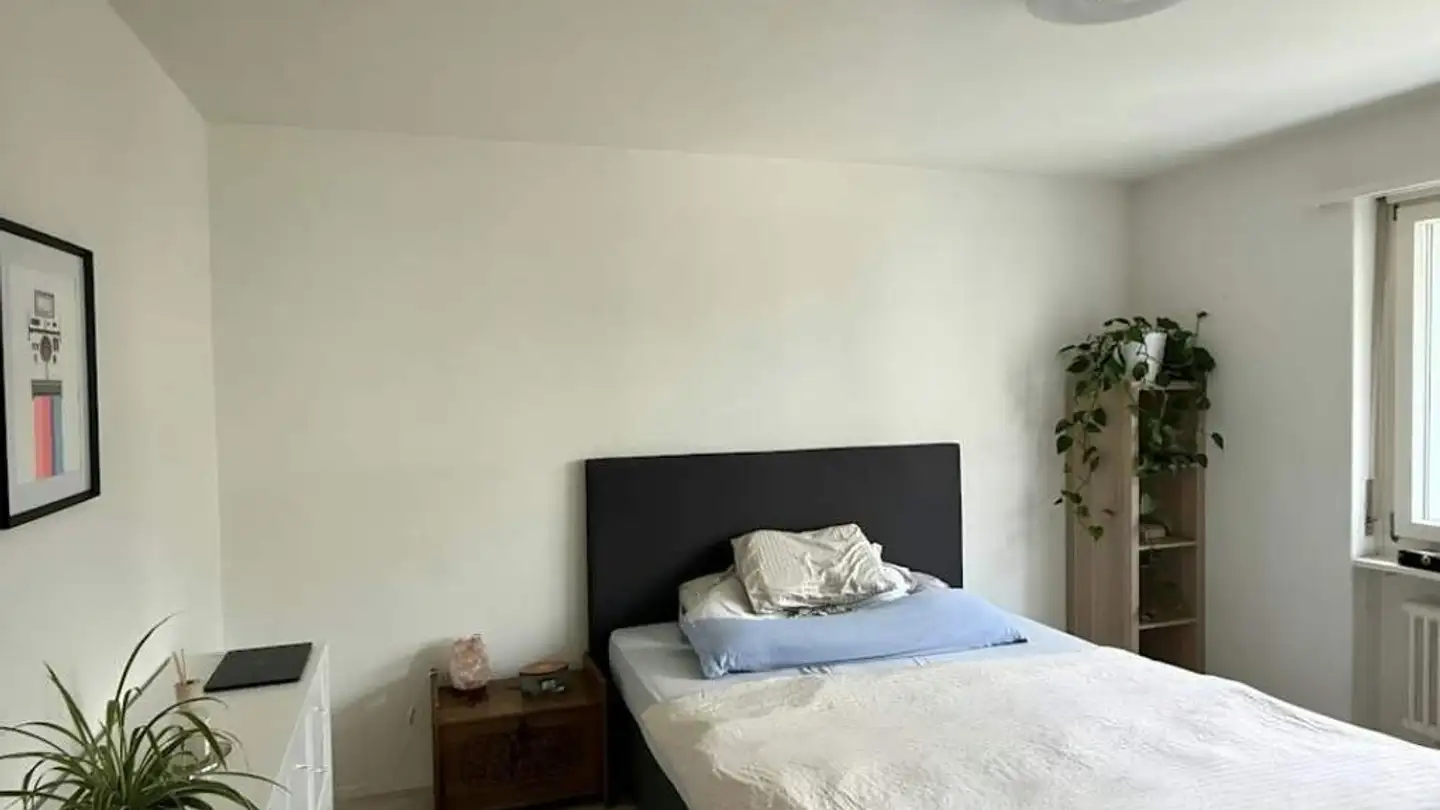Wohnung mieten - Schlosstalstrasse 38, 8406 Winterthur - Foto 4