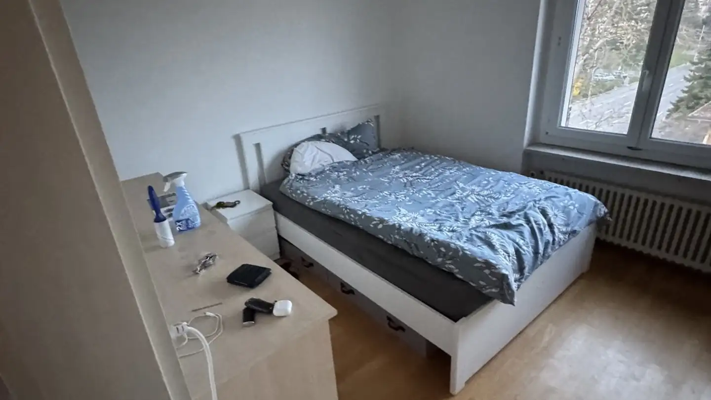 Single room for rent - 8102 Oberengstringen