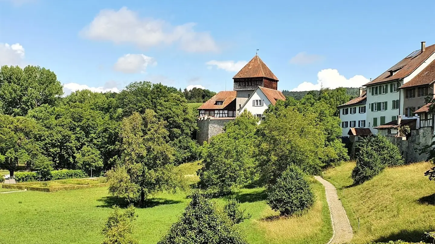 Appartamento in affitto - Schaffhauserstrasse 1, 8253 Diessenhofen