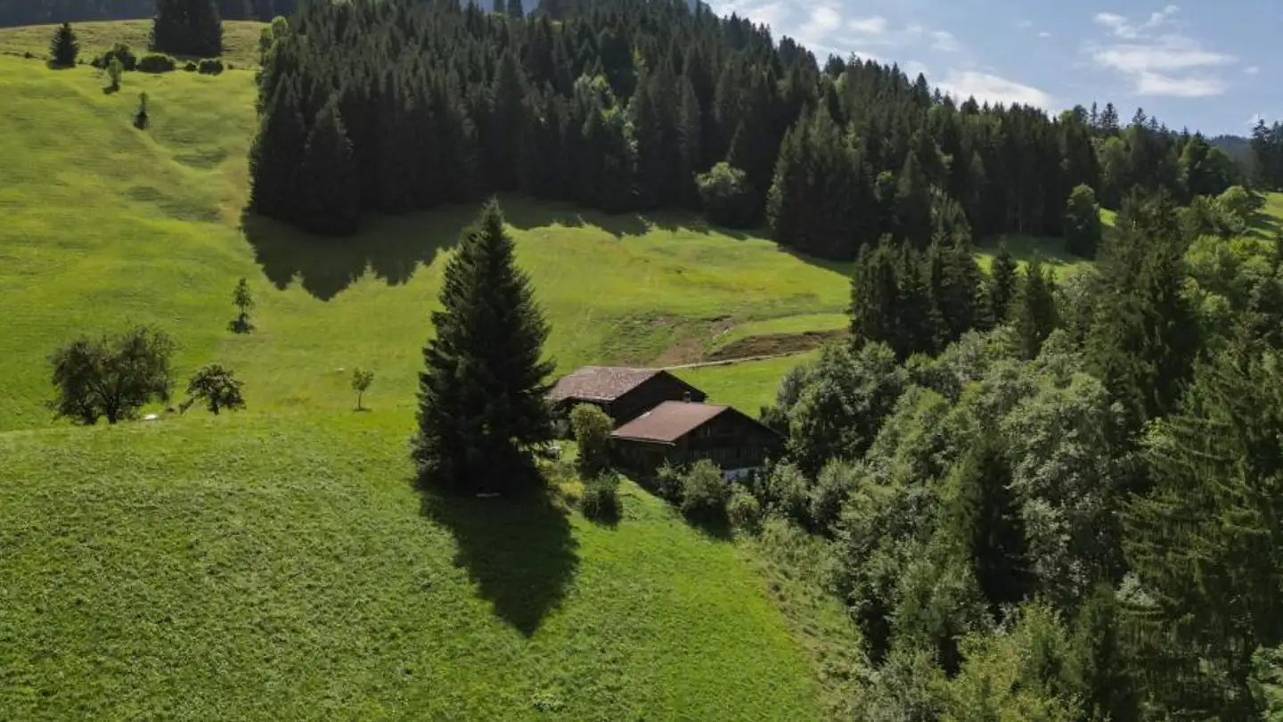 Casa singola in vendita - 1660 Château-d'Oex - Foto 4