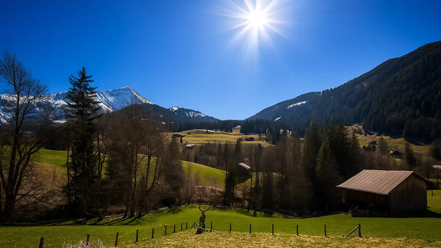 Maison individuelle à vendre - 3782 Lauenen b. Gstaad - Photo 3