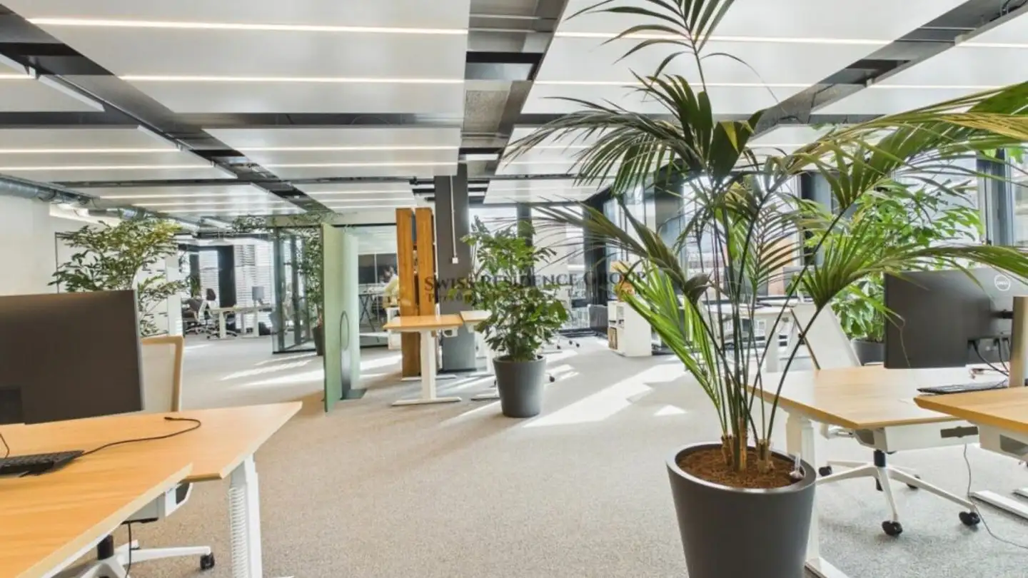 Bürofläche mieten - 8045 Zürich - Foto 2