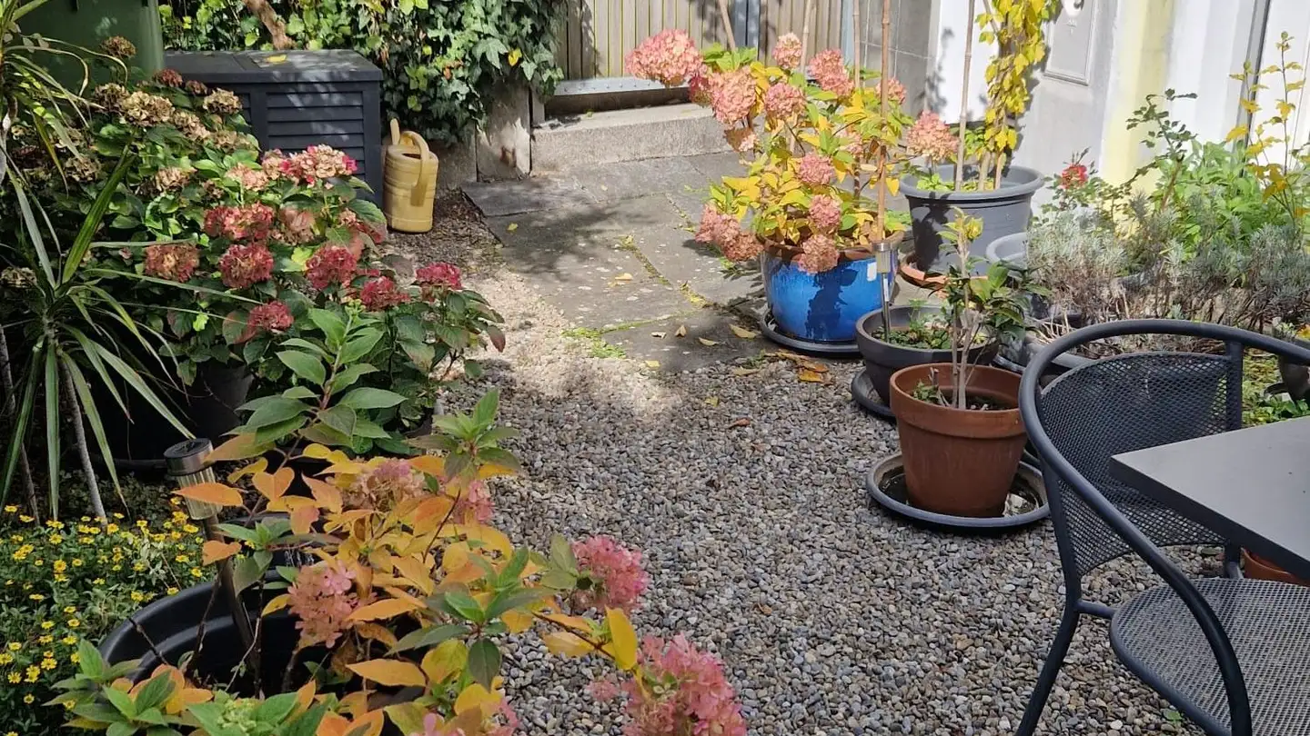 Studio medico in affitto - Zähringerstrasse, 3012 Bern - Foto 3