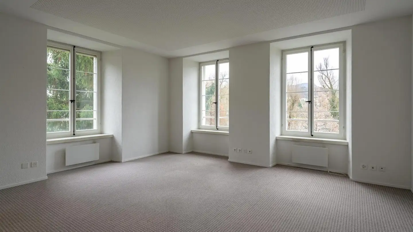 Mixed-use building for sale - 5000 Aarau - Photo 3