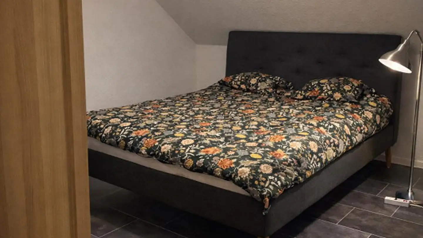 Appartamento in affitto - Lindenstrasse 19, 8400 Winterthur - Foto 4