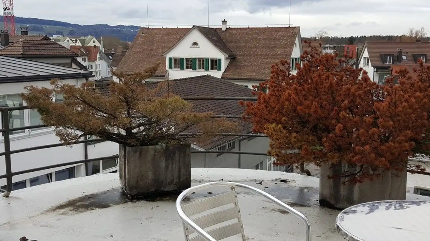 Werkstatt mieten - Zentralstrasse 32, 8610 Uster - Foto 3