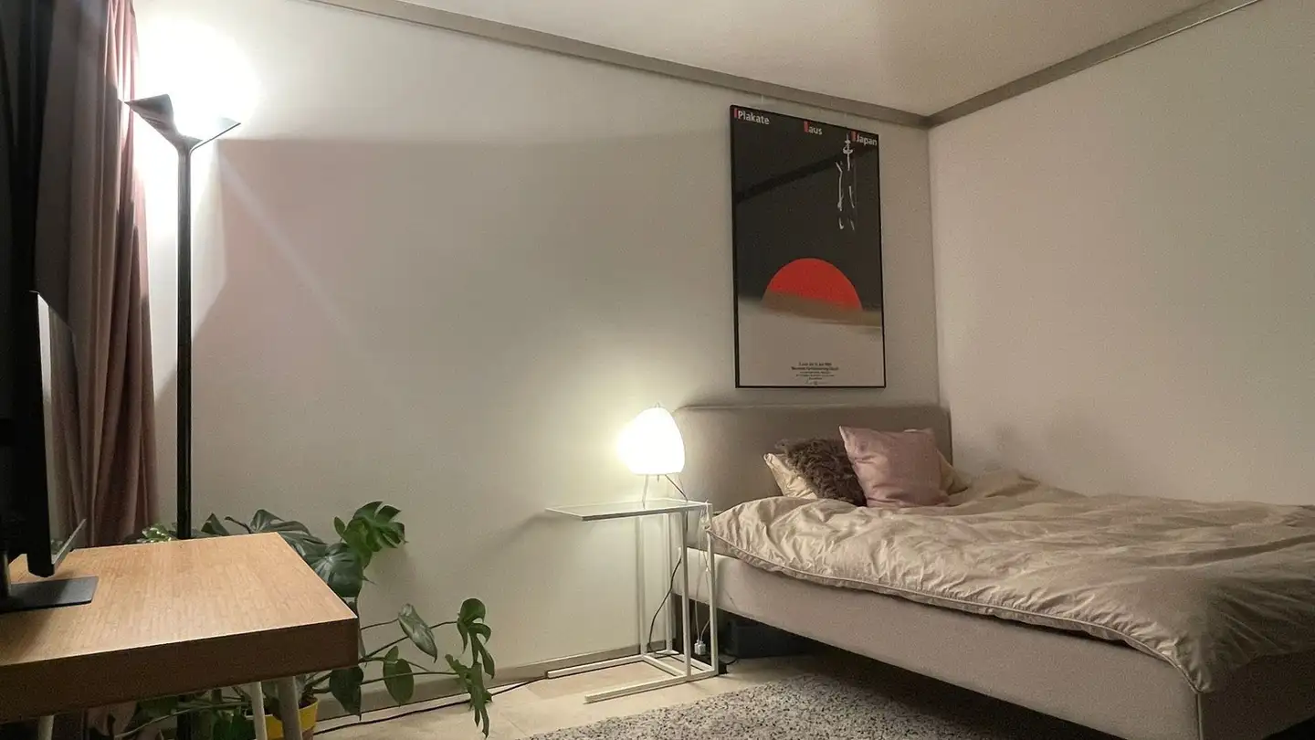 Chambre à louer - Eisgasse 17, 8004 Zürich