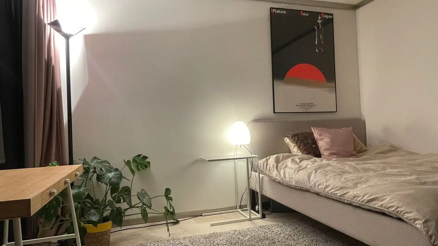 Zimmer mieten - Eisgasse 17, 8004 Zürich - Foto 3