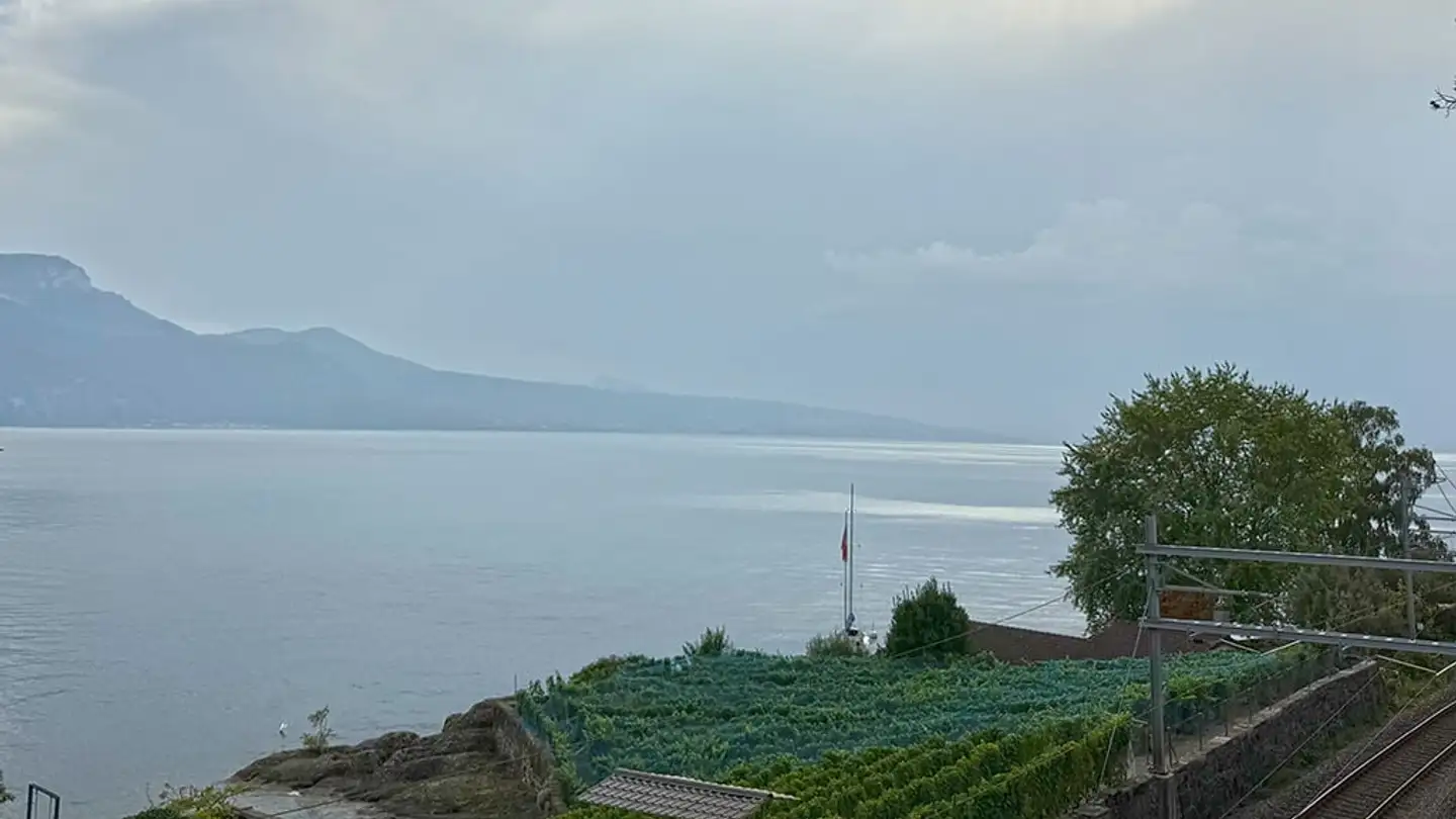 Apartment for sale - 1071 Rivaz - Photo 2