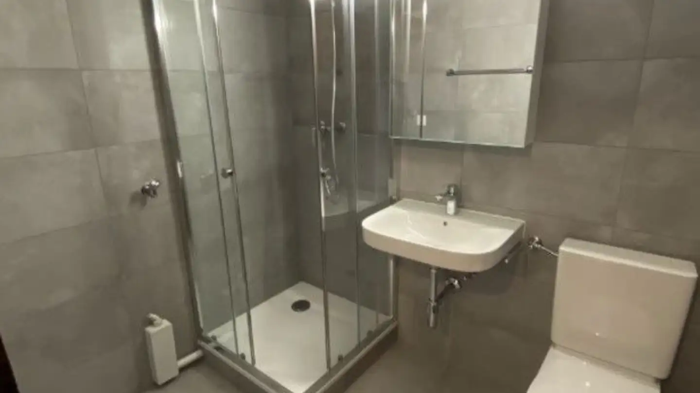 Appartement à louer - 1245 Collonge-Bellerive - Photo 3