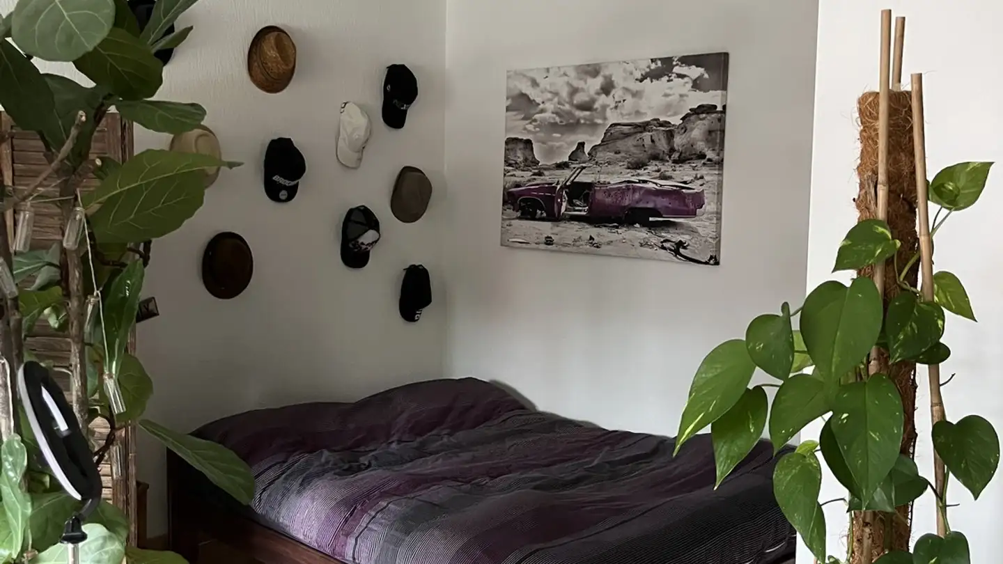 Appartamento in affitto - 8048 Zürich