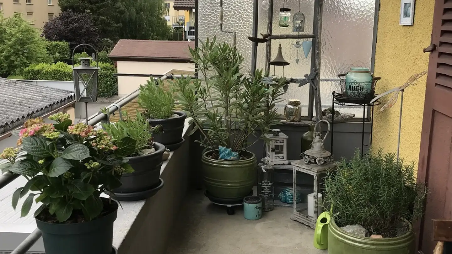 Wohnung mieten - Gwattstrasse 56, 3604 Thun - Foto 4