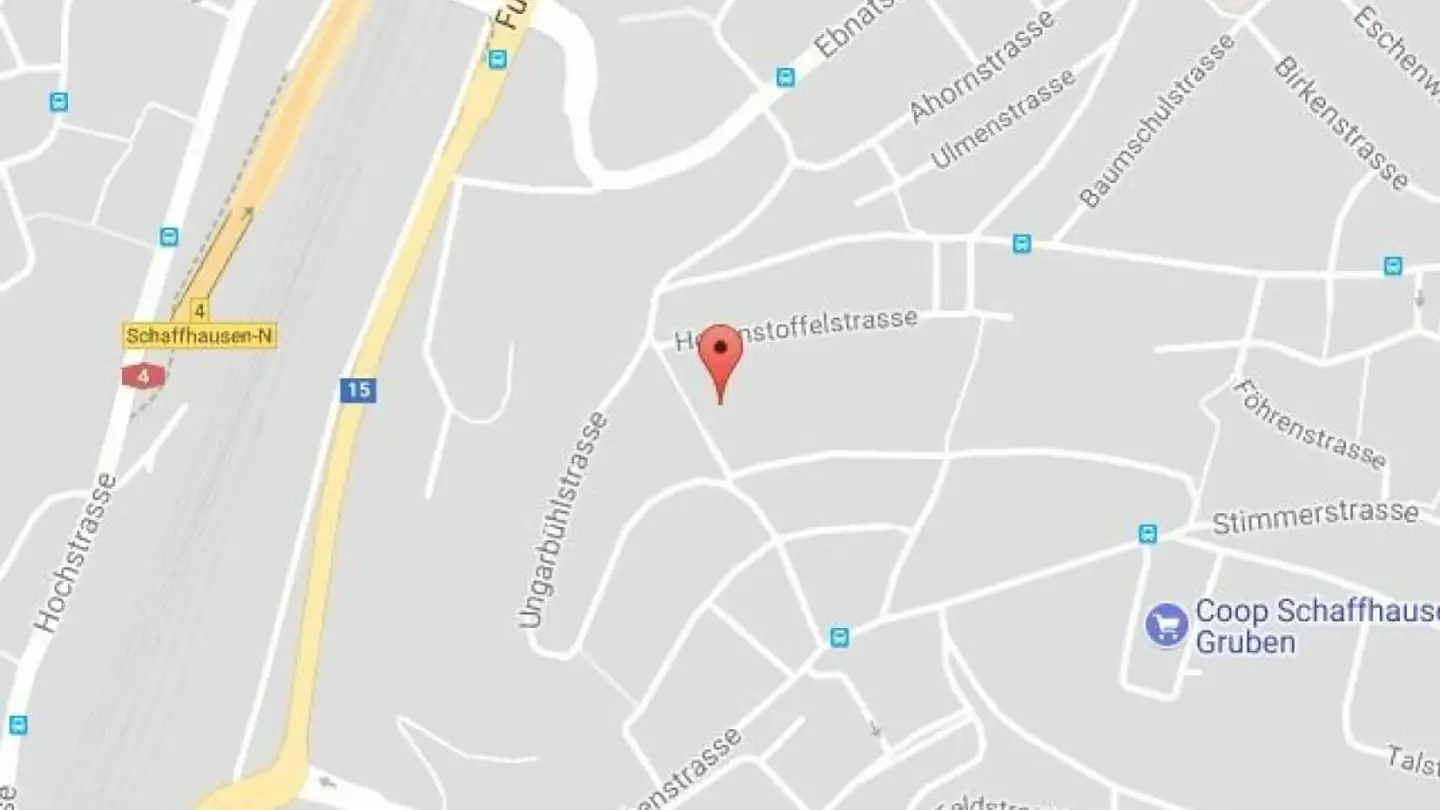 Storage space for rent - Grubenstieg 20, 8200 Schaffhausen - Photo 2