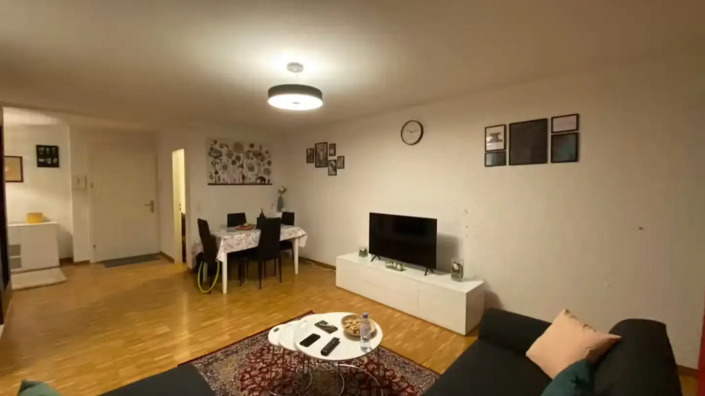 Appartamento in affitto - Wallisellerstrasse, 8152 Opfikon - Foto 4