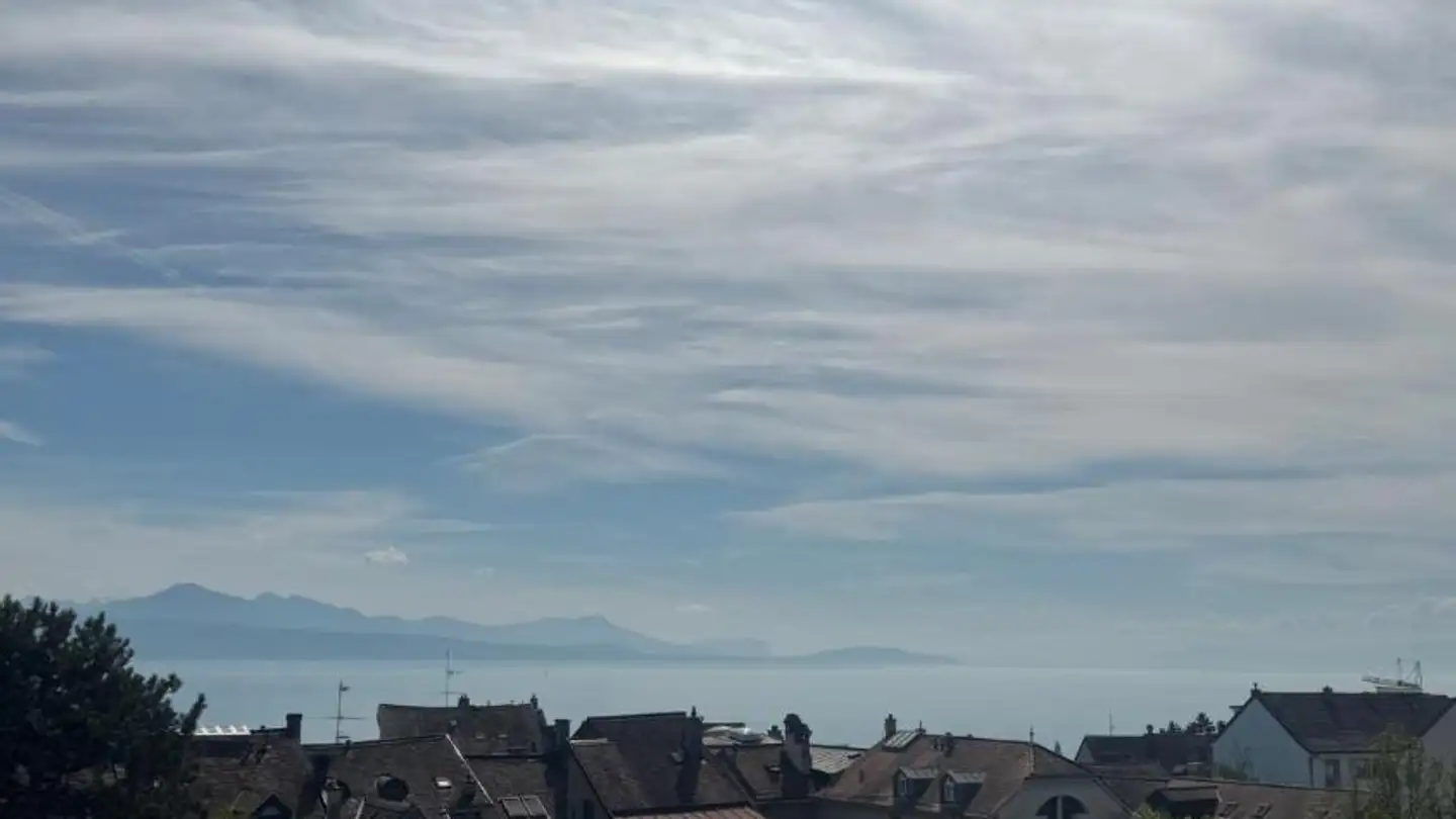 Appartamento in affitto - Chemin Du Pré-De-La-Tour 13, 1009 Pully