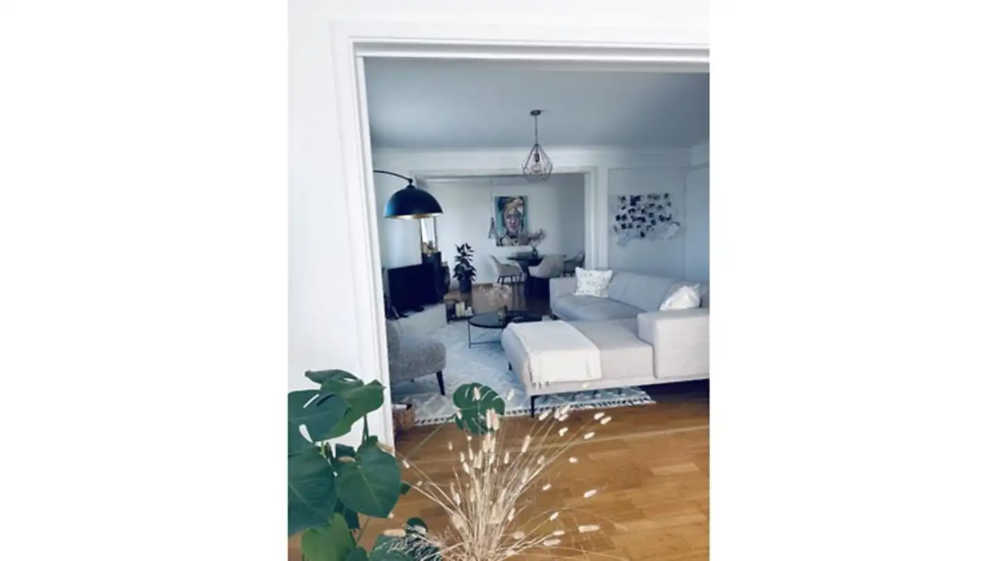 Appartement meublé à louer - 8049 Zürich