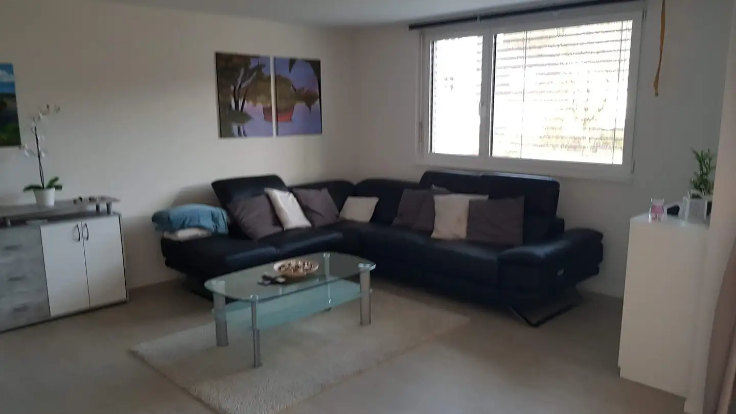 Apartment for rent - Oberer Hofmattweg 74, 4466 Ormalingen - Photo 4