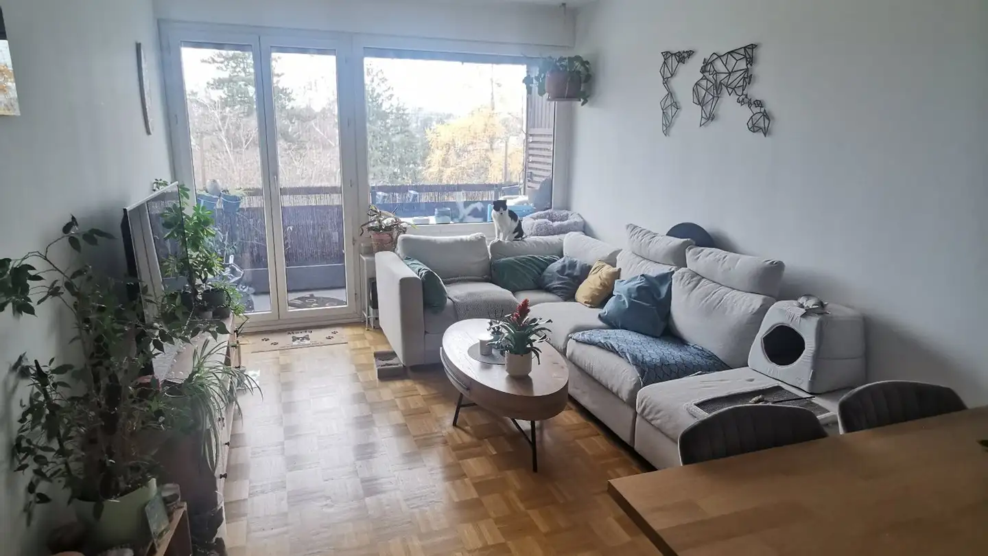 Apartment for rent - Route Du Grand-Lancy, 1212 Grand-Lancy