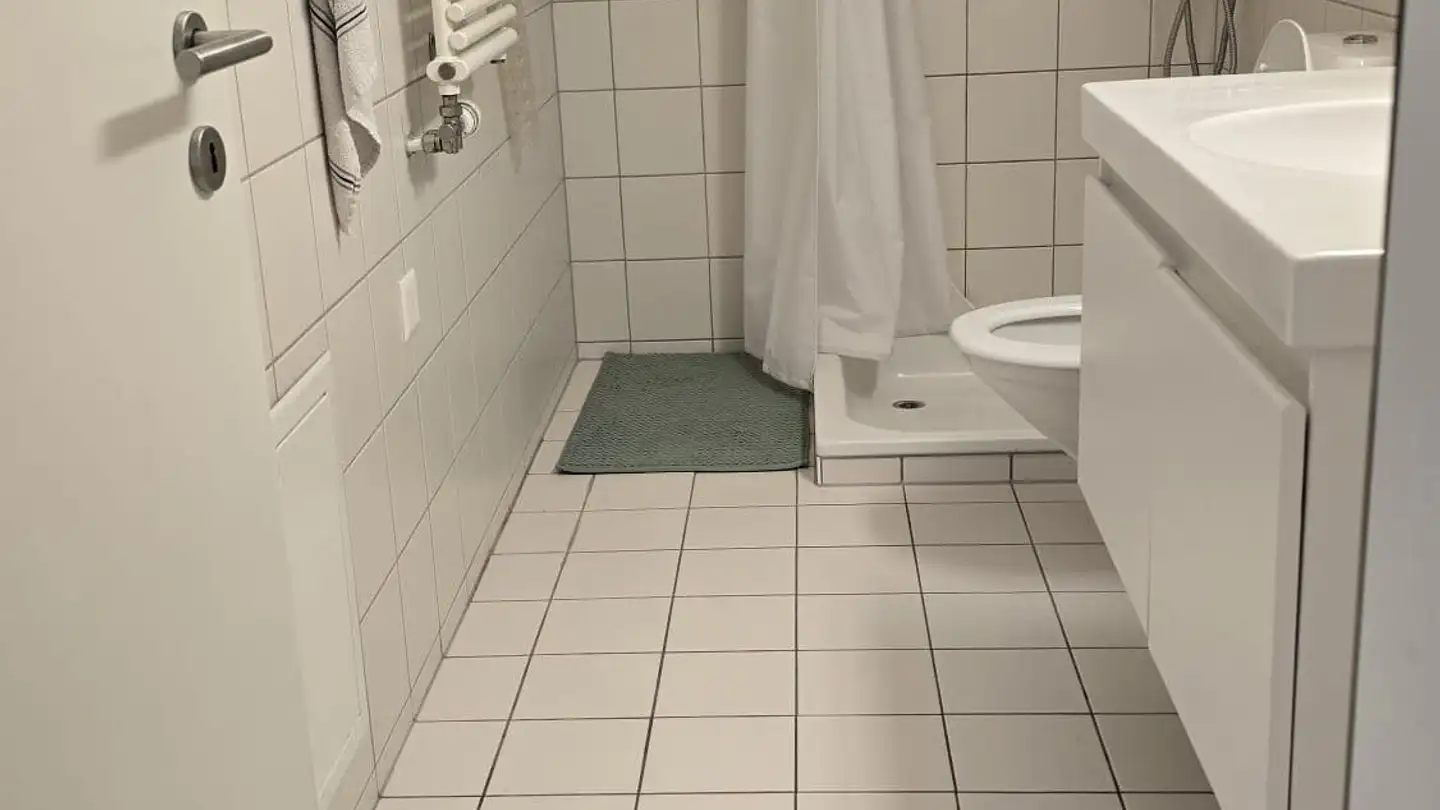 Chambre à louer - Binzmühlestrasse 76, 8050 Zürich - Photo 3