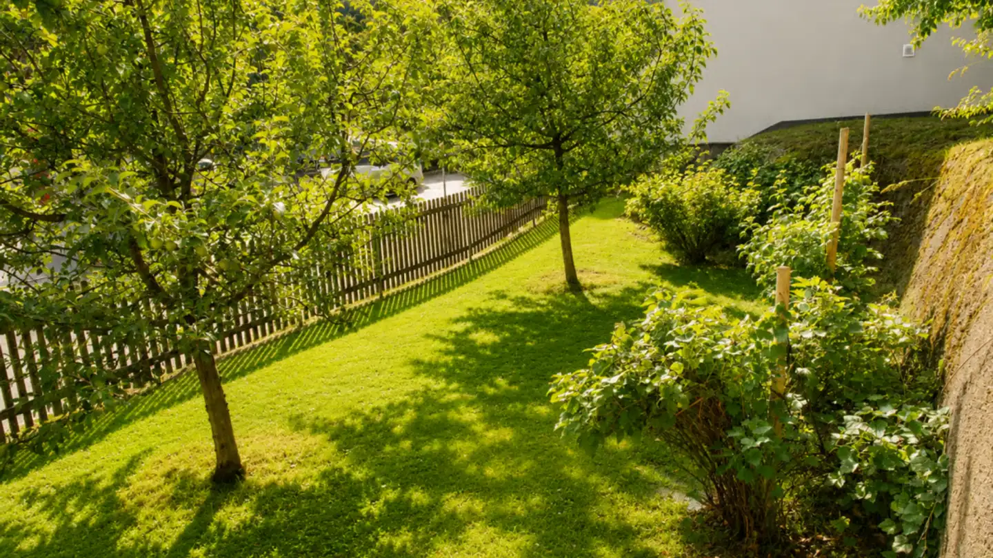 Mehrfamilienhaus kaufen - Burgstrasse 21, 3600 Thun - Foto 4