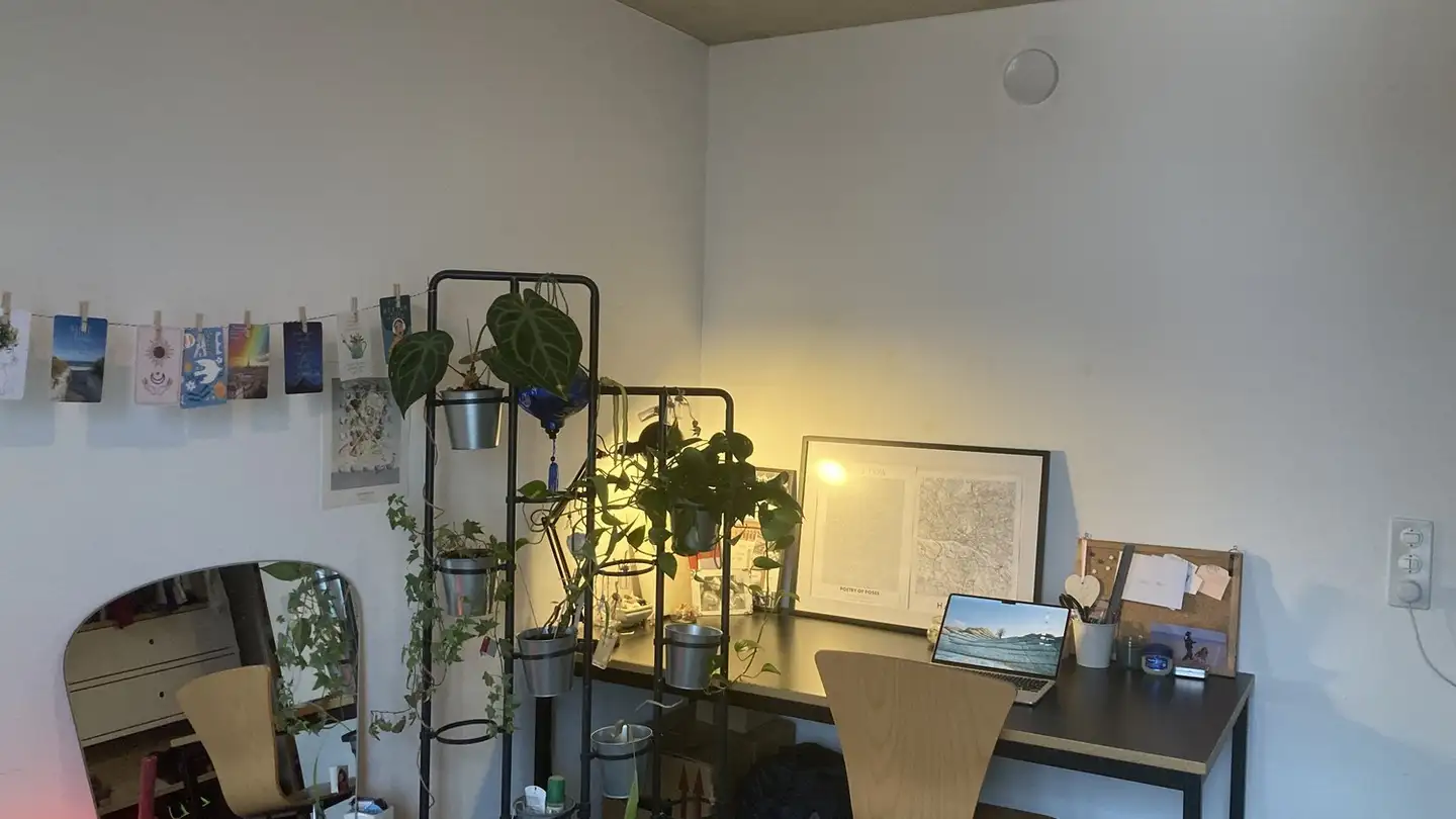 Apartment for rent - Uetlibergstrasse 111a, 8045 Zürich - Photo 3