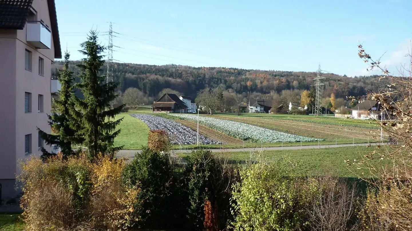 Appartamento in affitto - Chürzistrasse 21, 8600 Dübendorf