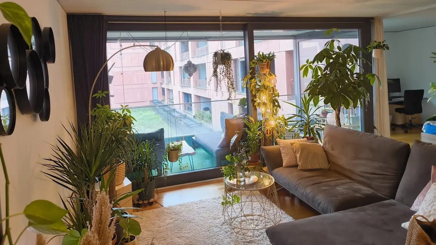 Apartment for rent - 8400 Winterthur