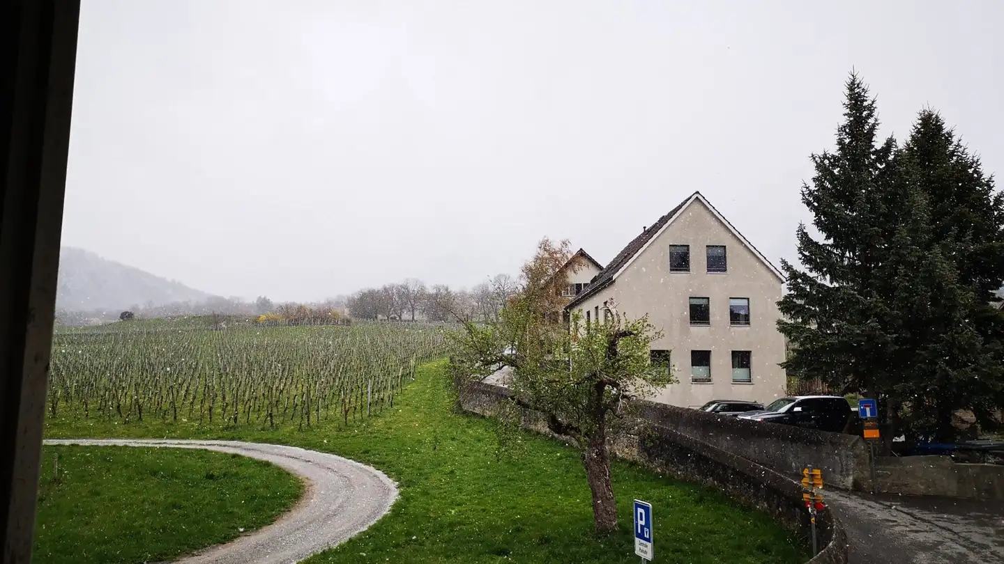 Wohnung mieten - Spitalgasse 11, 7304 Maienfeld