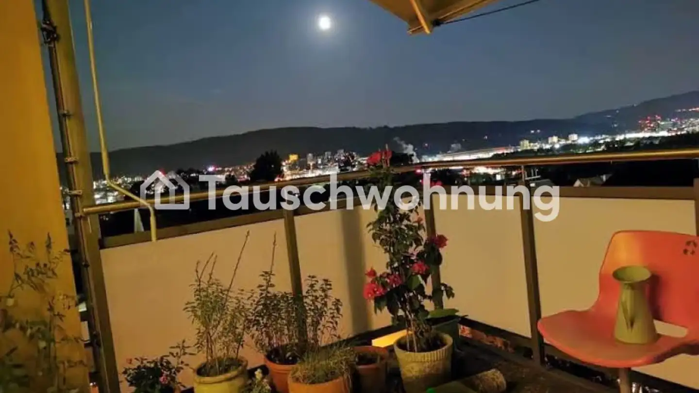 Attic flat for rent - Limmattalstrasse 314, 8049 Zürich