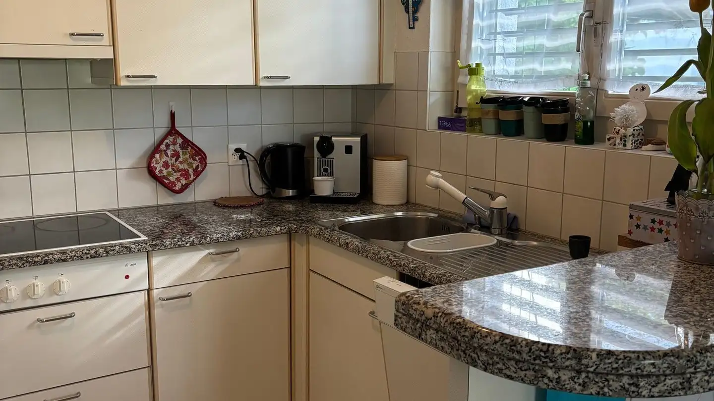 Terrassenwohnung mieten - 5415 Nussbaumen AG