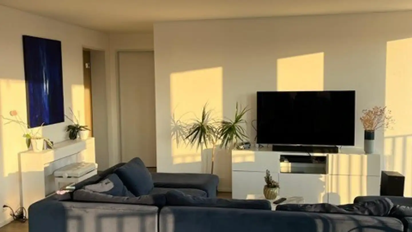 Furnished apartment for rent - Am Stadtrand 56, 8600 Dübendorf - Photo 4