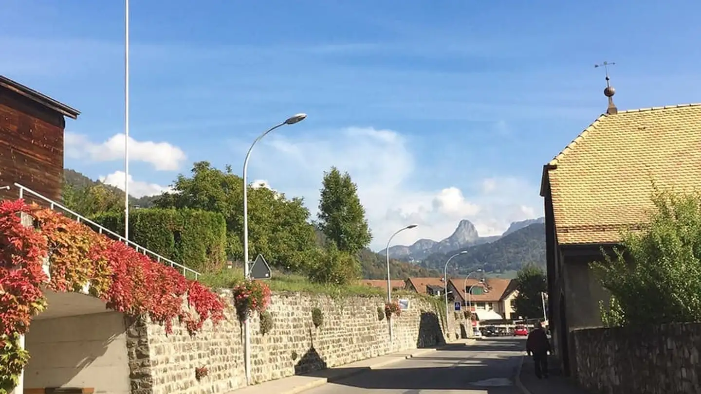 Single house for sale - Chemin De La Chiésaz, 1806 St-Légier-La Chiésaz - Photo 3