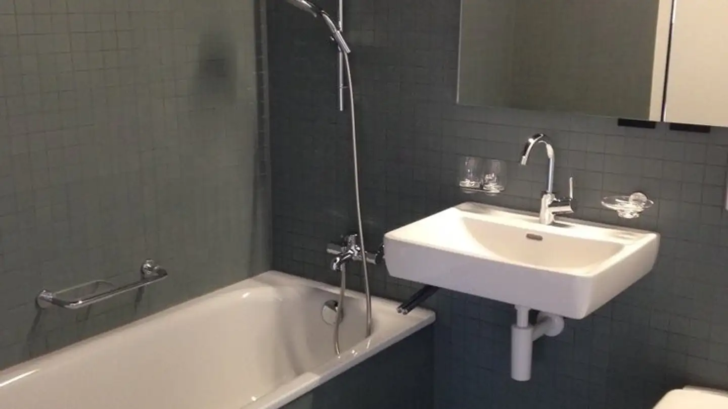 Appartement à louer - Ringstrasse 5, 8952 Schlieren - Photo 4