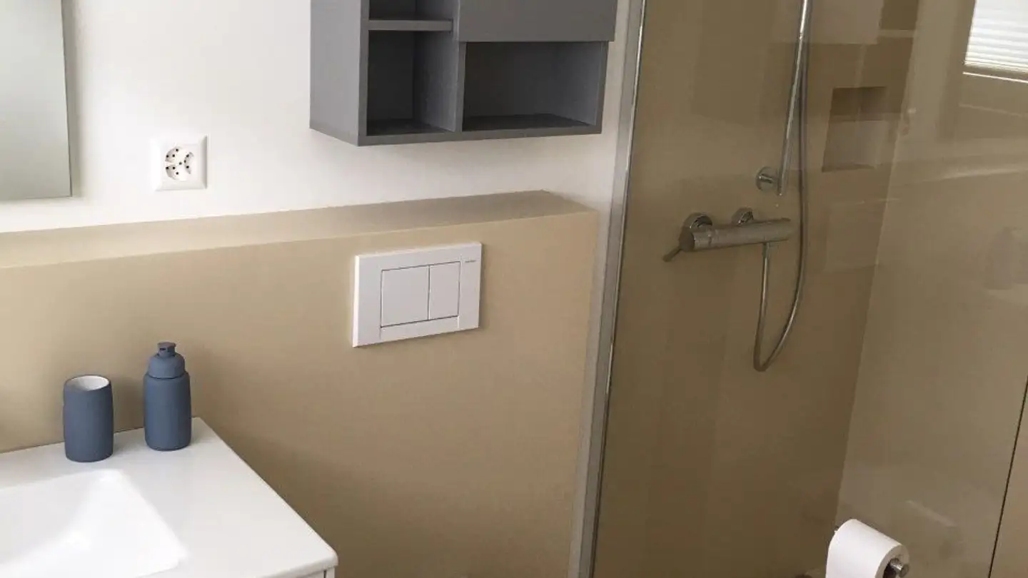 Appartamento in affitto - Weierstrasse 101, 8405 Winterthur - Foto 4