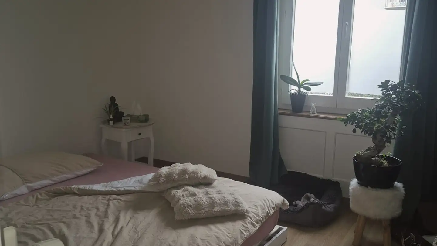 Appartement à louer - 2503 Biel/Bienne - Photo 3