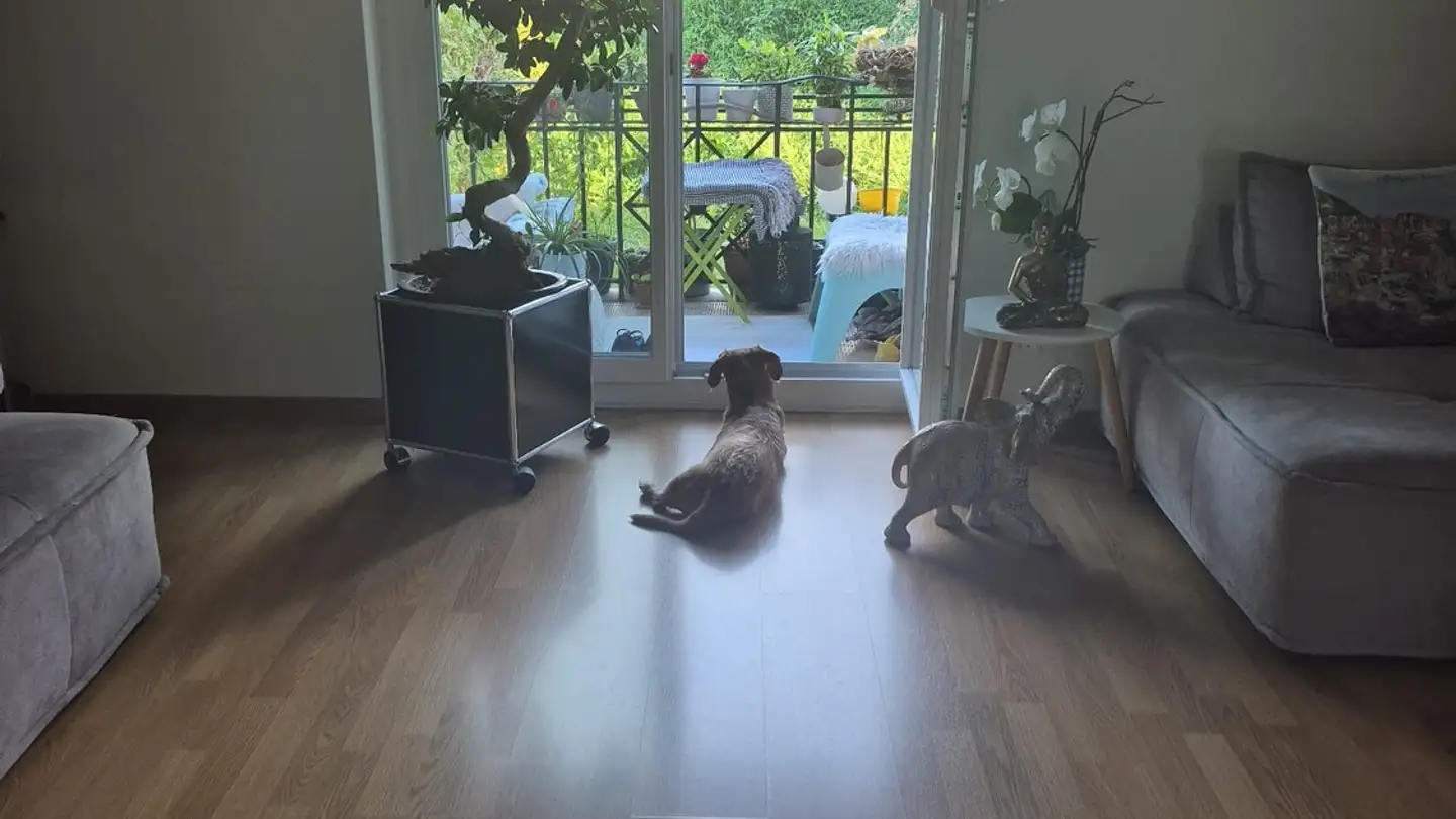 Appartement à louer - 2503 Biel/Bienne